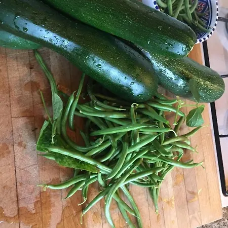 Jess & Joe's ゲストハウス