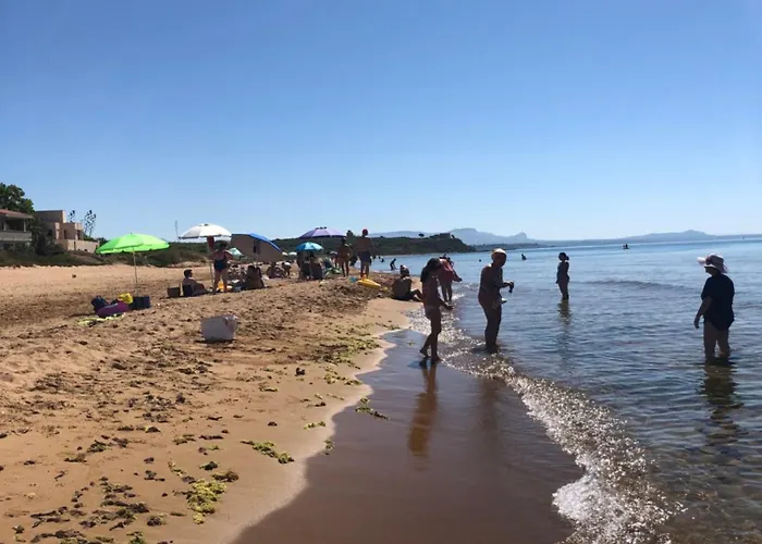 Jess & Joe's Castelvetrano